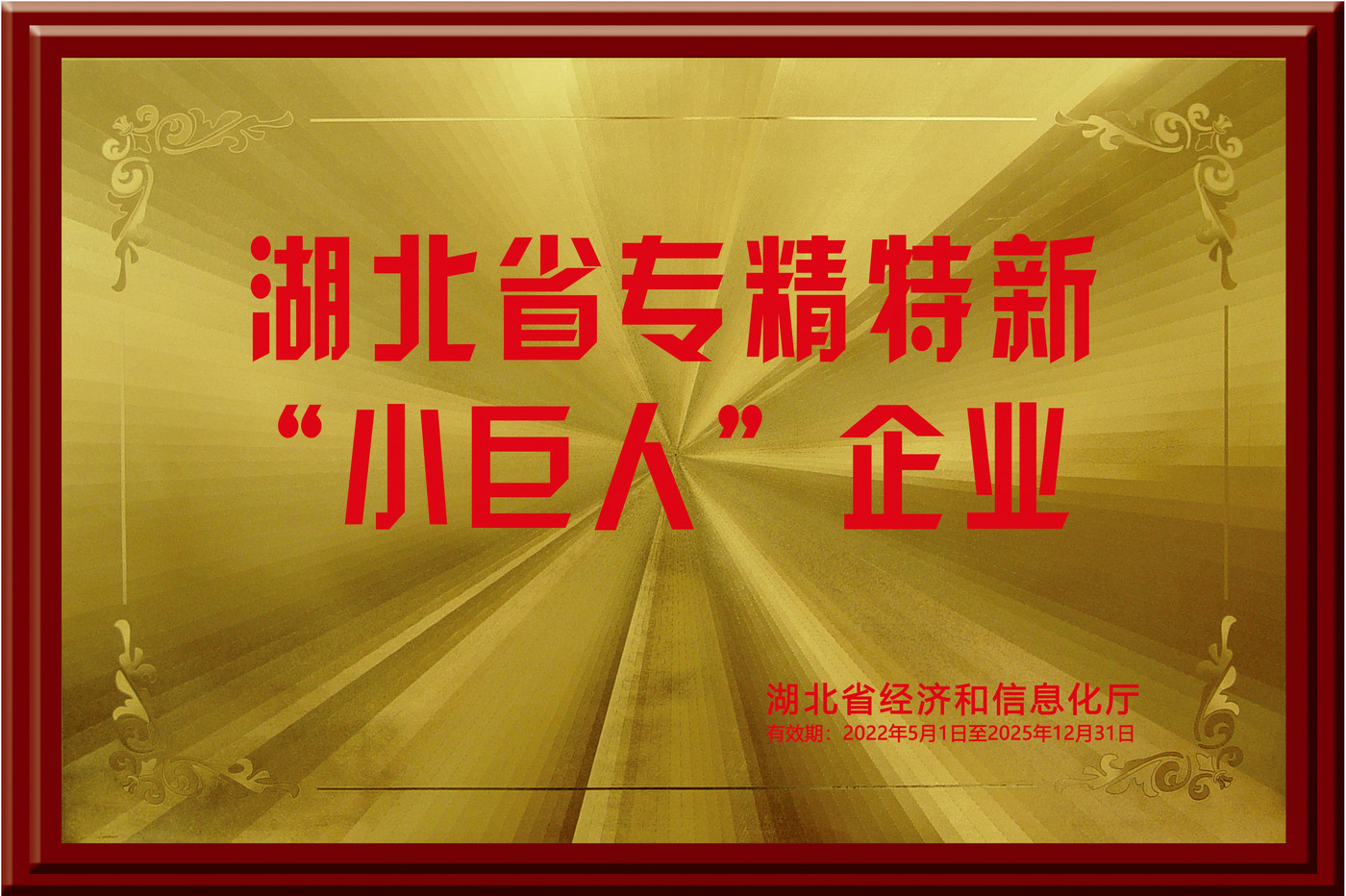 湖北省专精特新“小巨人”企业