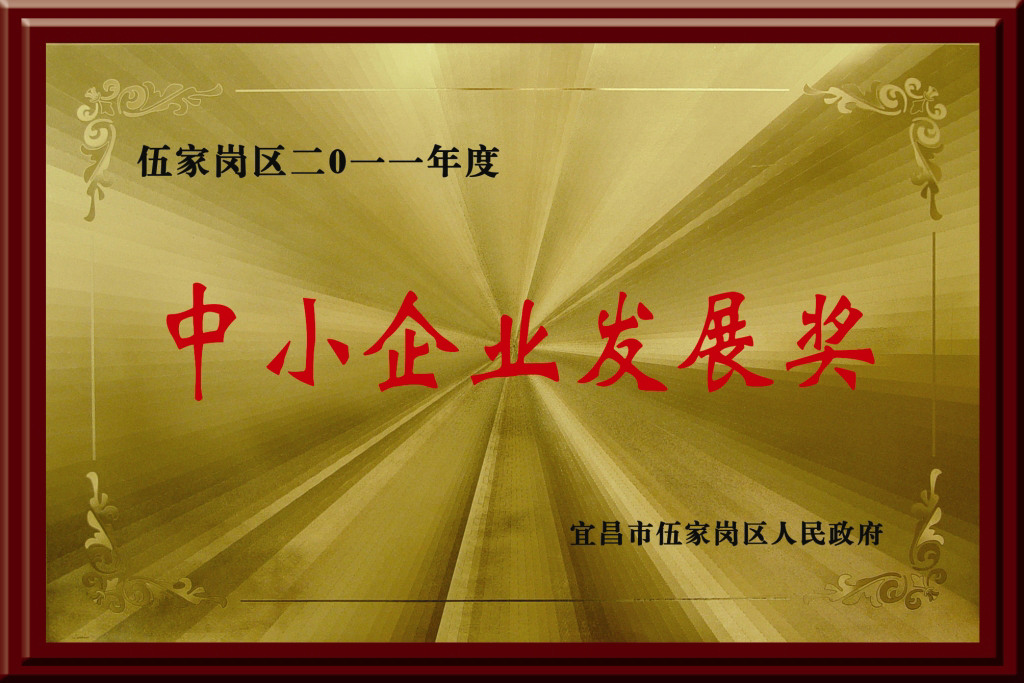 中小企业发展奖
